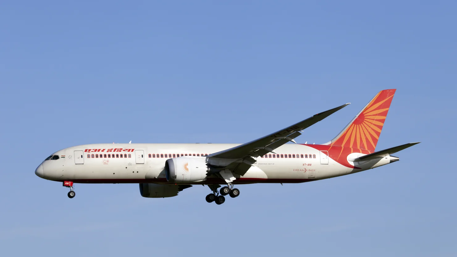 Air India Boeing 787-8 Dreamline